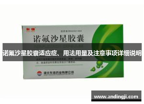 诺氟沙星胶囊适应症、用法用量及注意事项详细说明