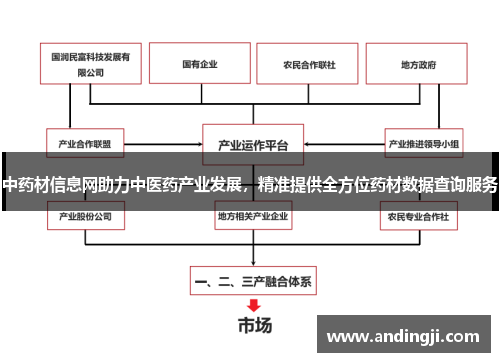 中药材信息网助力中医药产业发展，精准提供全方位药材数据查询服务