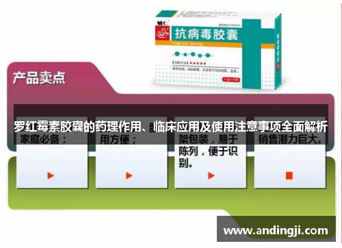 罗红霉素胶囊的药理作用、临床应用及使用注意事项全面解析