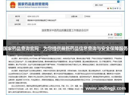 国家药品查询官网：为您提供最新药品信息查询与安全保障服务